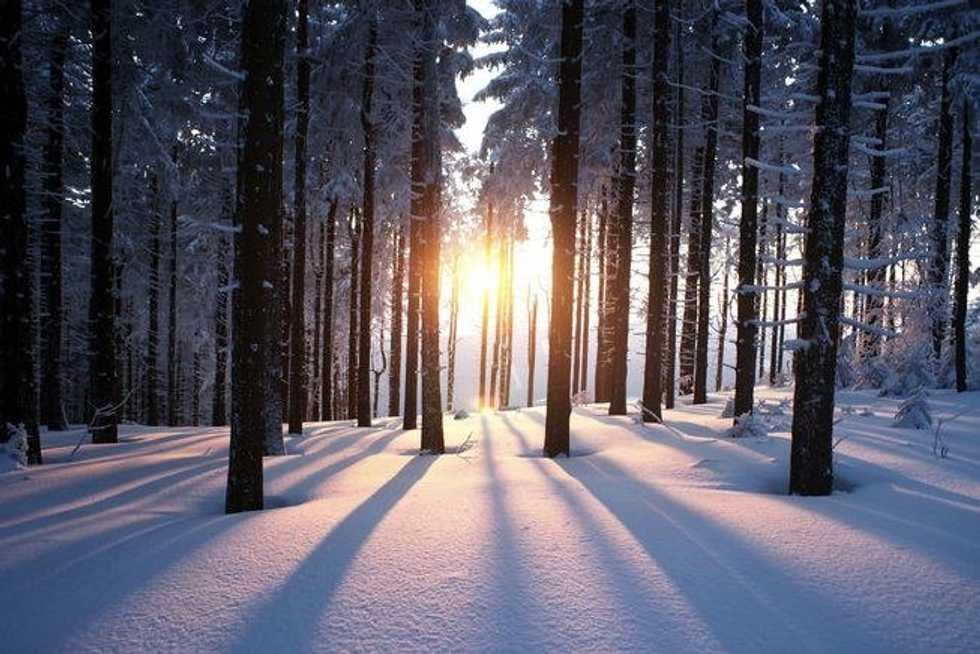 10 Reasons Why Winter Would Be Great All Year Long