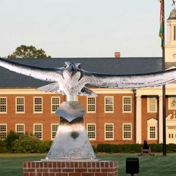 A Letter To UNCW Parking