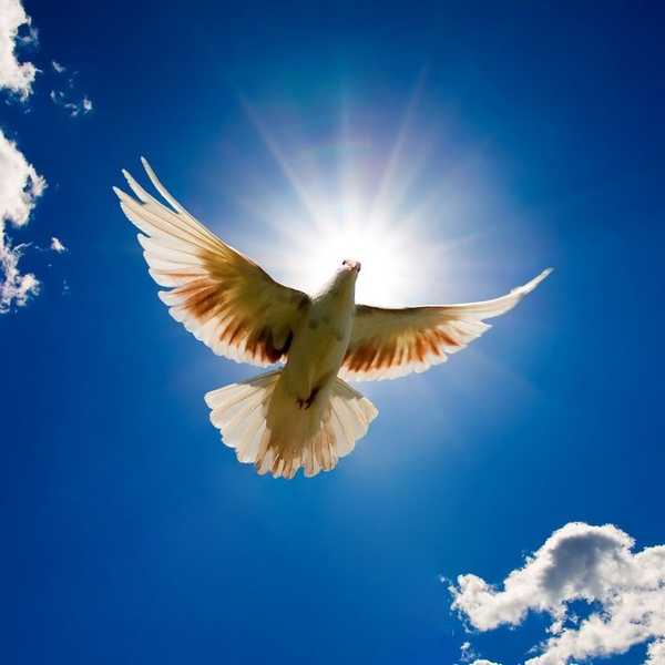 Dealing With Grief