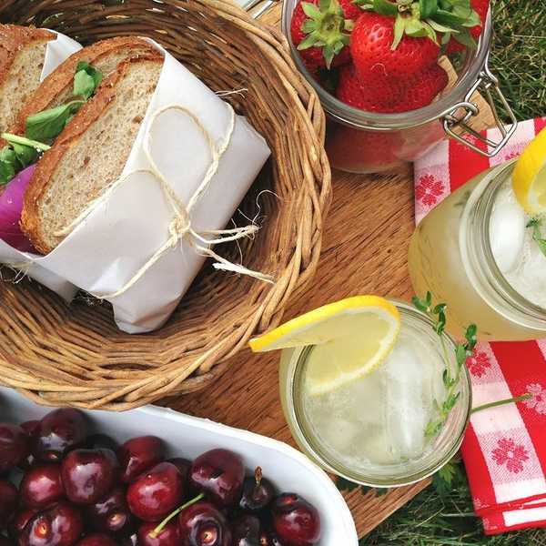 7 Perfect Picnic Places In Orlando