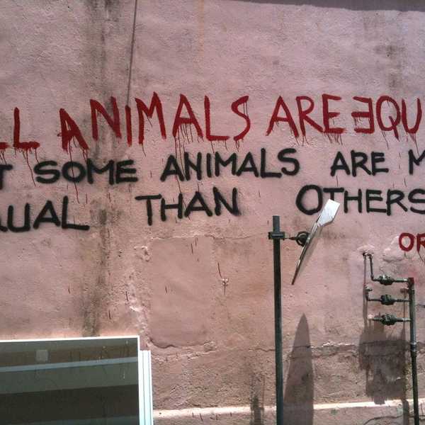 Why I Love Dystopian Novels