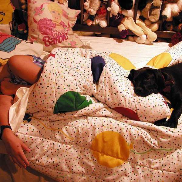 An Open Letter To My Dog