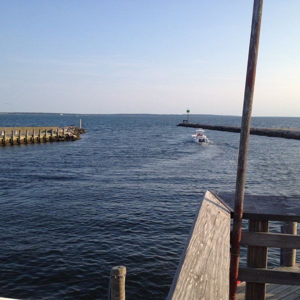 11 Signs You Know You Grew Up On Cape Cod