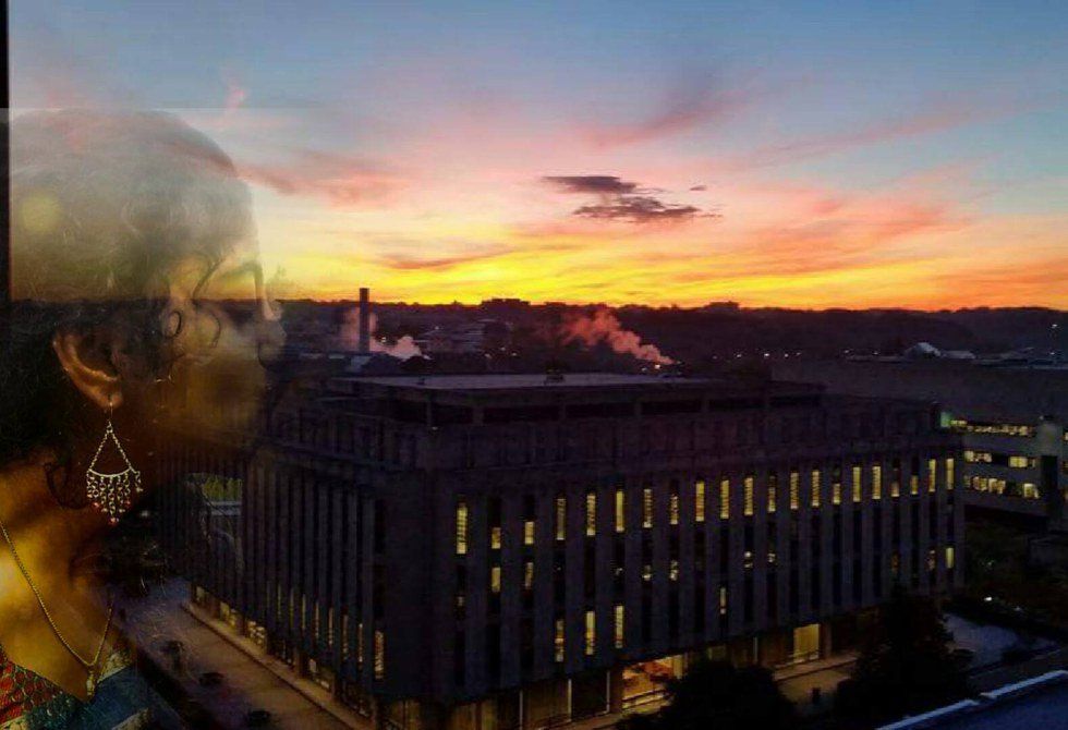 A Love Letter To Hillman Library