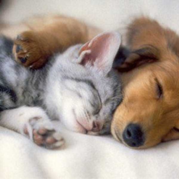 17 Confessions Of A Chronic Napper