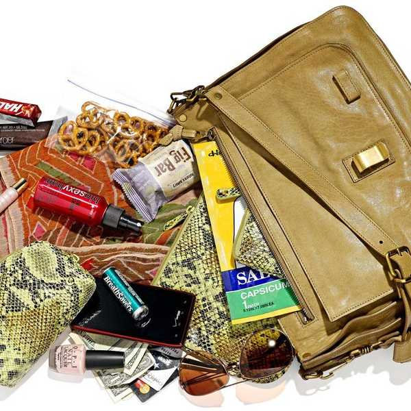 The Practical Purse