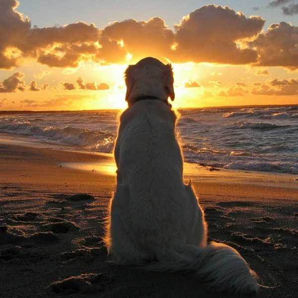 Will You Live For Today Or Tomorrow?