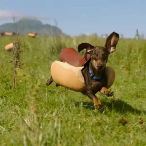 The Good, The Bad And The Ugly: Super Bowl 50 Commercials