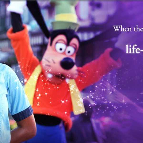 Stages Of DCP Acceptance Anticipation