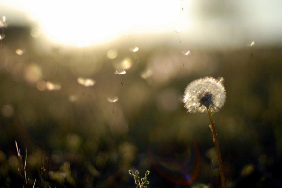 A Letter To The Dreamer In All Of Us