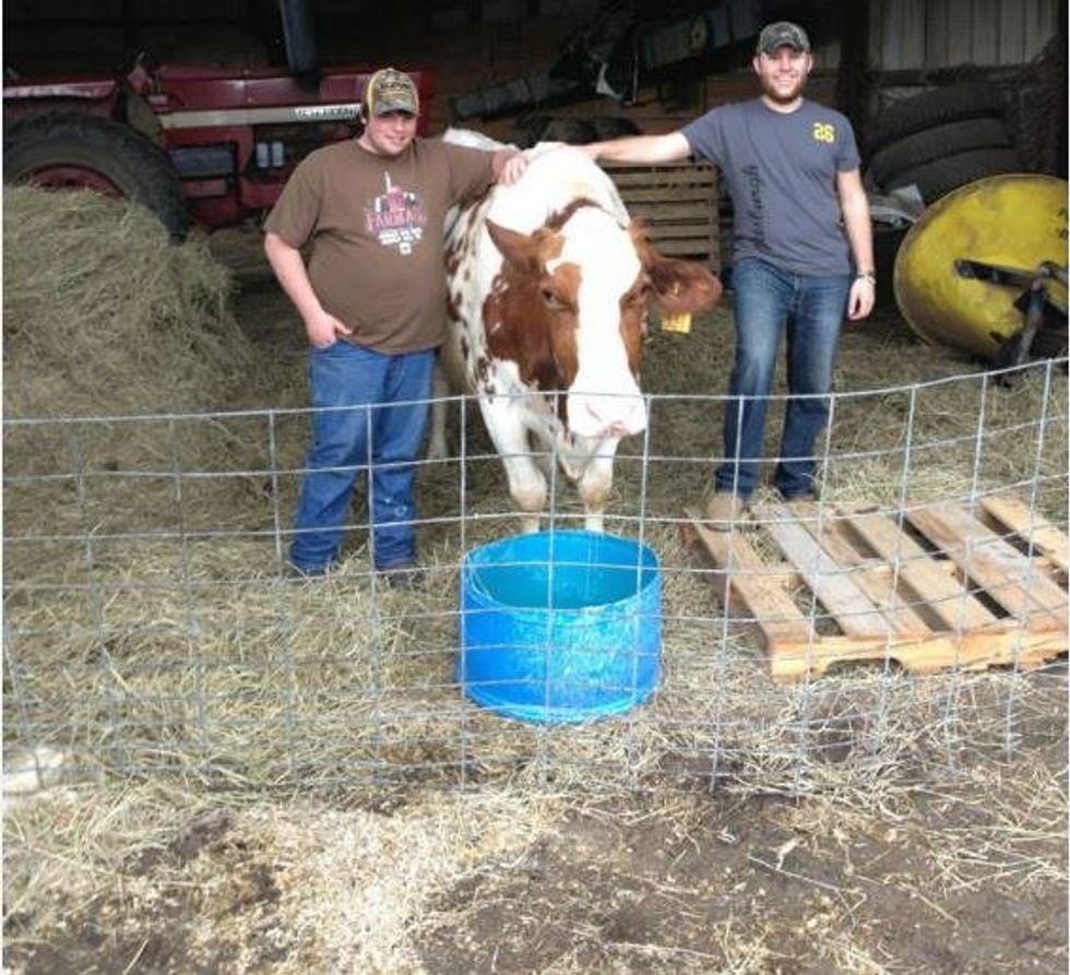 What It's Like To Grow Up Raising Livestock