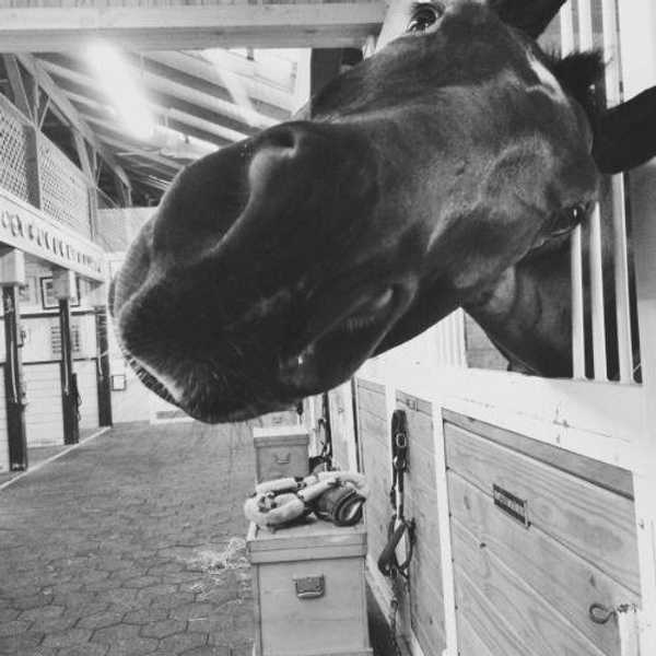An Open Letter To The Kids Who Can't Always Afford Horse Showing