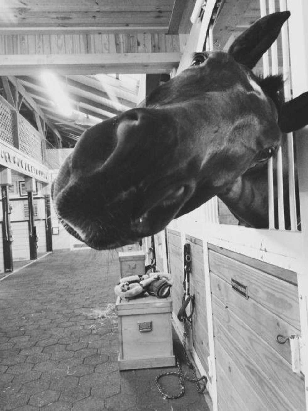 An Open Letter To The Kids Who Can't Always Afford Horse Showing