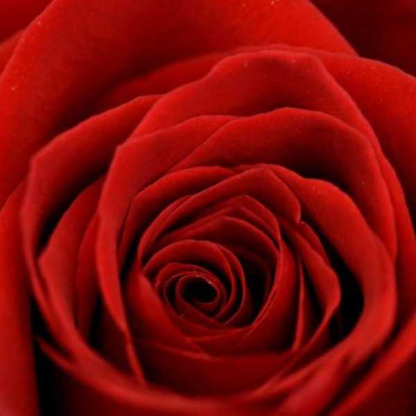 6 Ways To Treat Everyday Like Valentine's Day