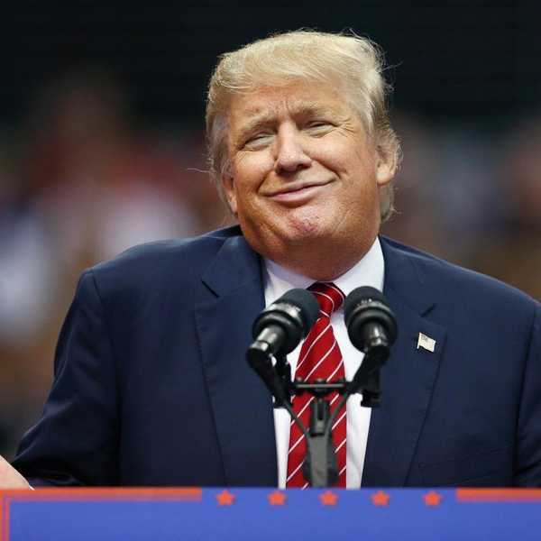 Trump For Dummies