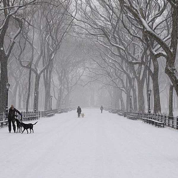 Just When We Thought Winter Was Over...