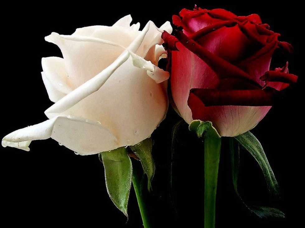 Be Happy For Your Ex