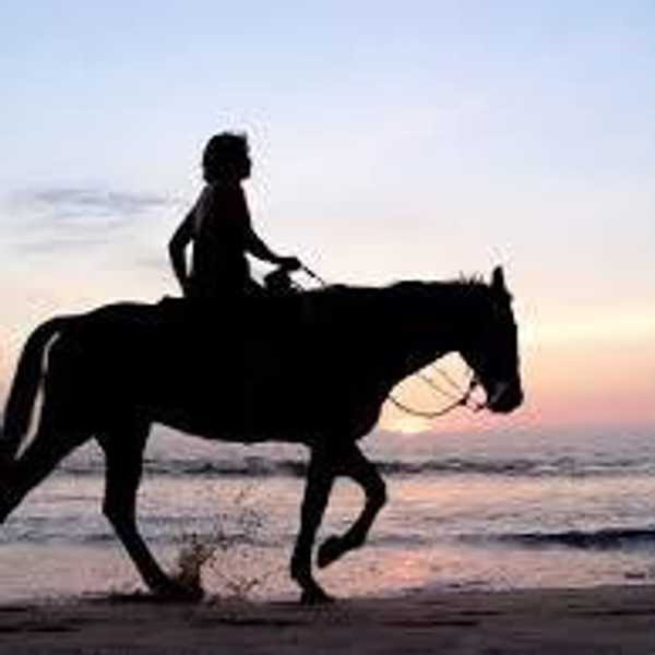 Life Lessons I've Learned From Horseback Riding