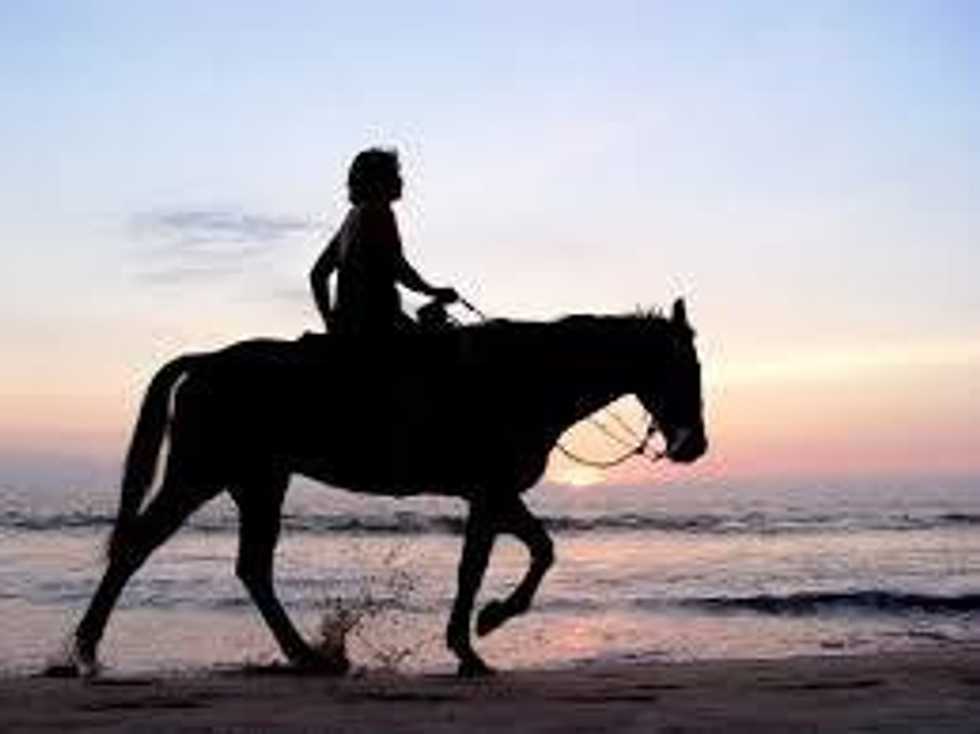 Life Lessons I've Learned From Horseback Riding