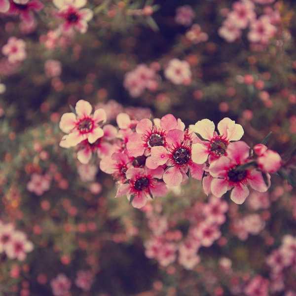 Why You Shouldn't Feel Guilty Saying No