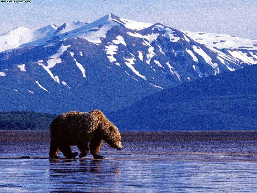 10 Reasons Why I Love Alaska
