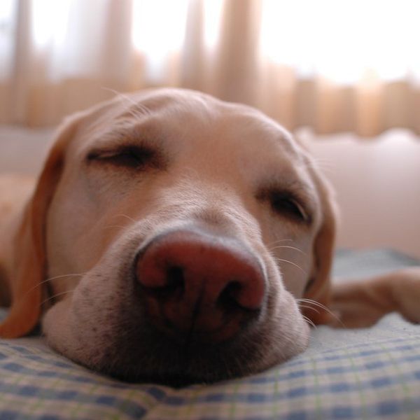 11 Reasons To Stay In Bed This Morning