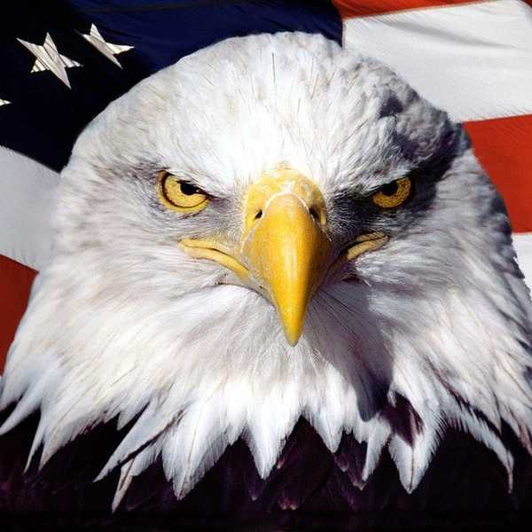 Making America Great Again