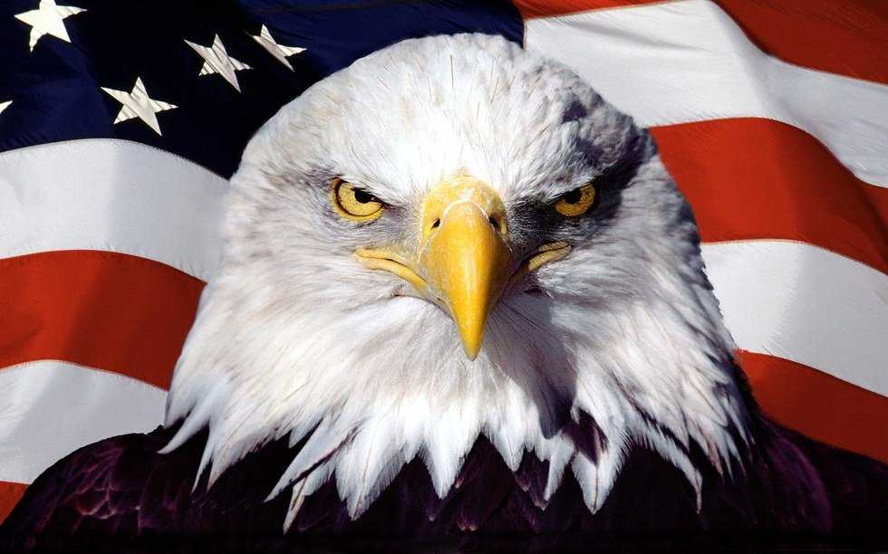 Making America Great Again