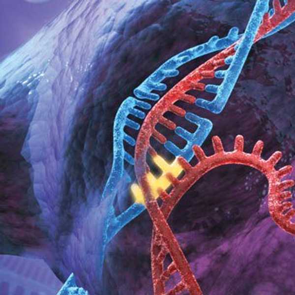 Gene-Editing: Science Fiction Becomes Reality