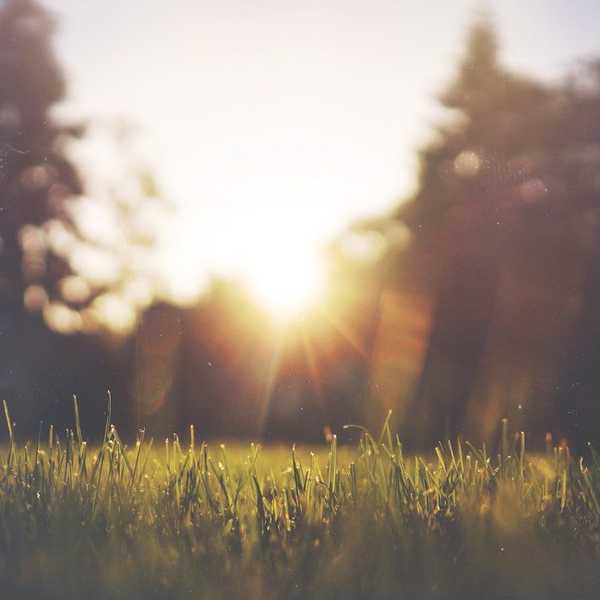 An Open Letter To Cancer