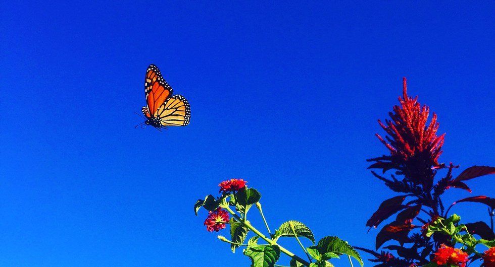 Why Confidence Is A Character Trait Everyone Should Have