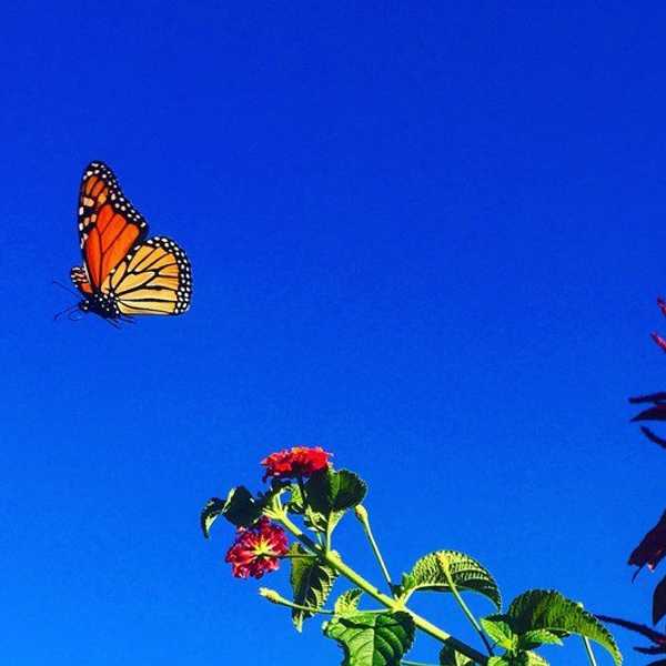 Why Confidence Is A Character Trait Everyone Should Have