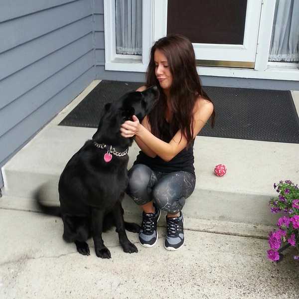 A Letter To My Dog At Home