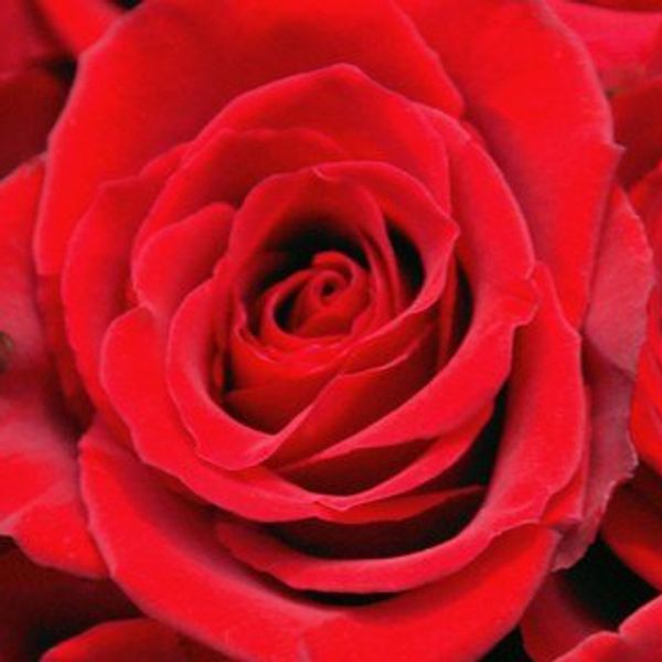 11 Things To Do This Valentine's Day