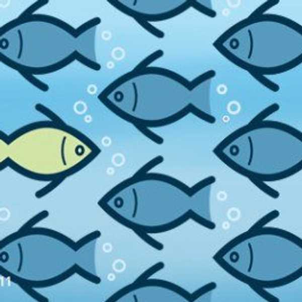 Sometimes It's Okay To Swim Against The Stream