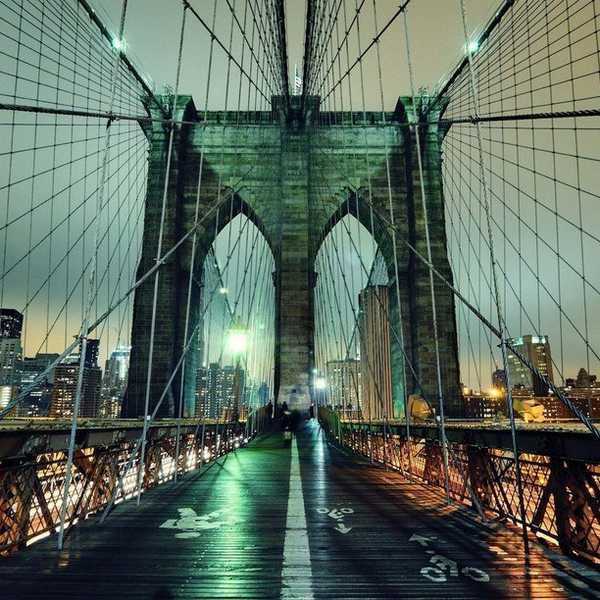 Politicians Look To Brooklyn To Reel In Millennials