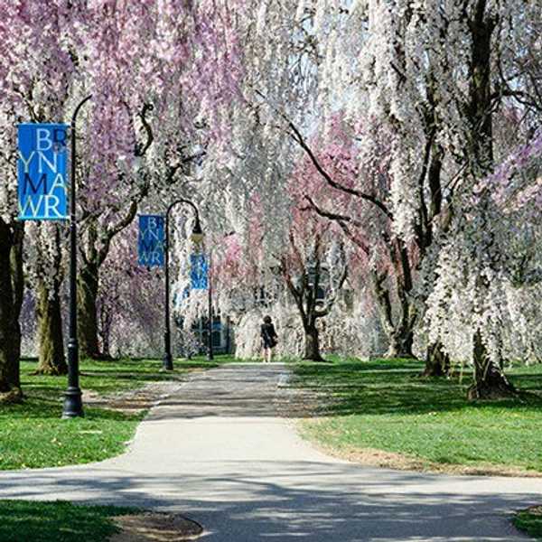 Giving Bryn Mawr College A Second Chance