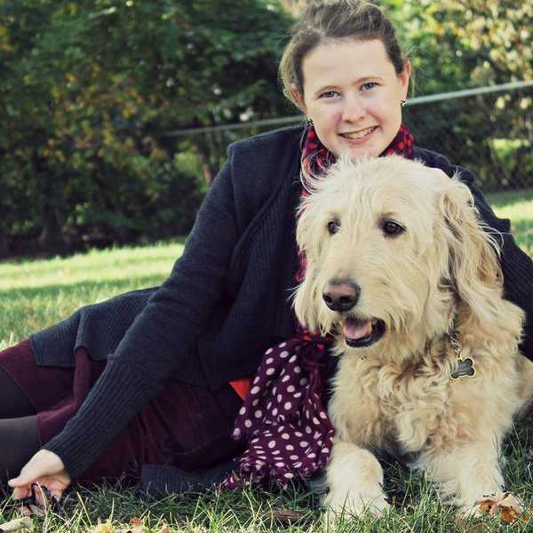 Why Your Next Pet Should Come From An Animal Shelter
