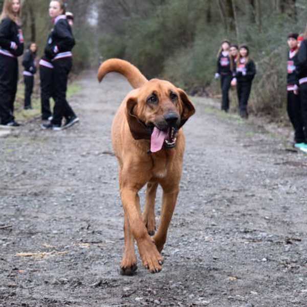5 Animal Headlines To Make You Smile