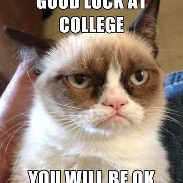 An Open Letter To Those Who Aren't Loving College