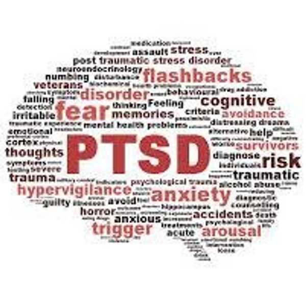My Name Is Lisa Slysz And I Have PTSD