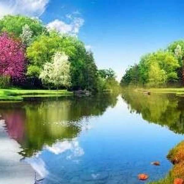 A Thank You Letter To Our Seasonal Friends