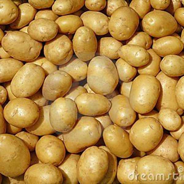 The Price Of Potato Photography