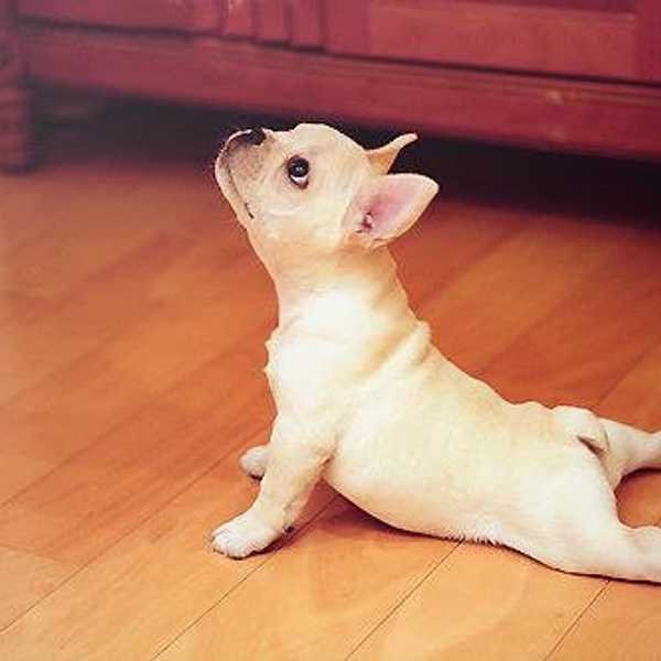 5 Reasons To Start Doing Yoga