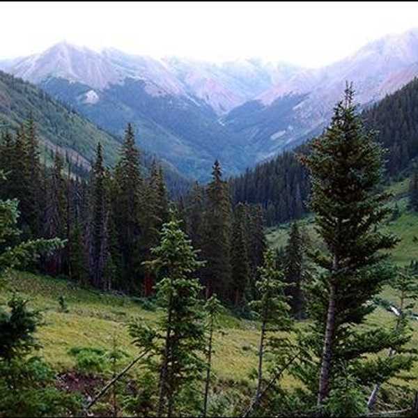 Joy, The Wilderness And How I Always Find God On Accident