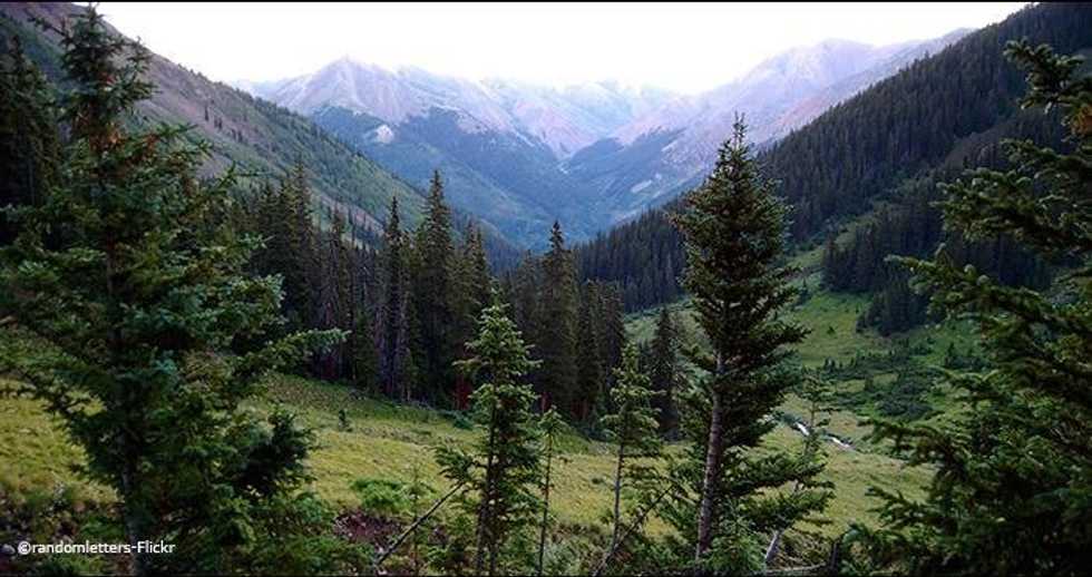 Joy, The Wilderness And How I Always Find God On Accident