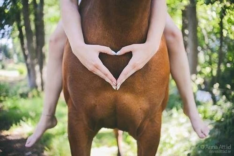 An Open Letter To My First Horse