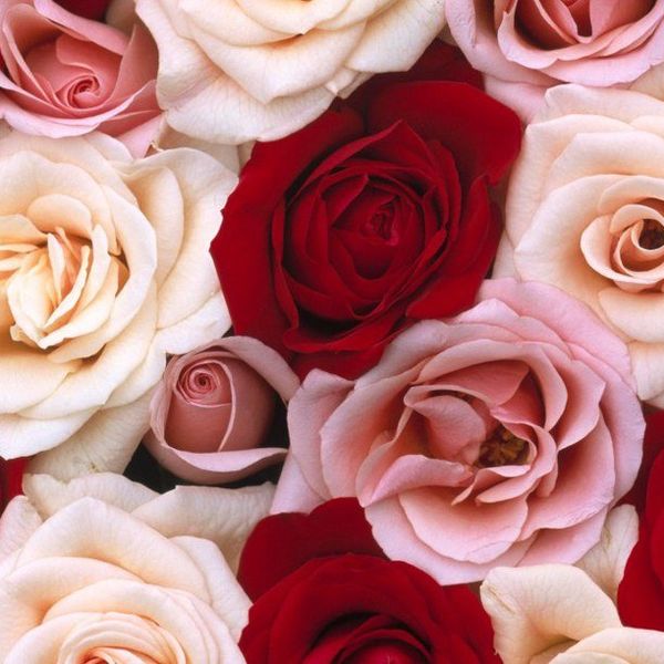 A Letter To The People That Take Valentines Day Too Seriously