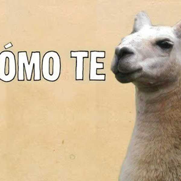 The Benefits Of Learning A Second Language