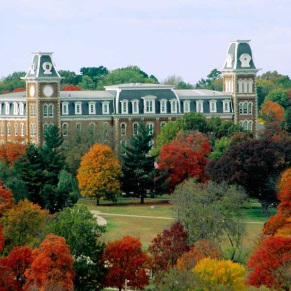 Open Letter To The University of Arkansas